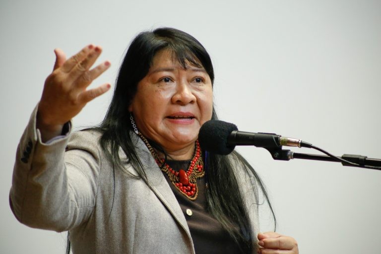 CCJ aprova projeto que prevê línguas indígenas como cooficiais