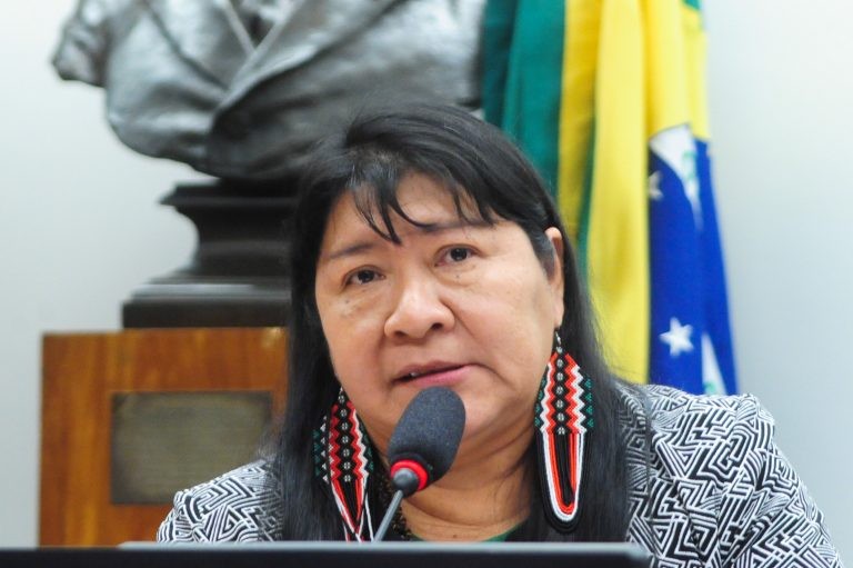 Deputada cobra a garantia de direitos básicos na Terra Indígena Ianomâmi