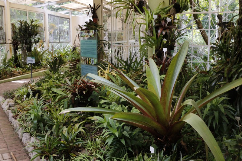 Abertas as inscrições para pós-graduação em fitoterapia pela UFRJ