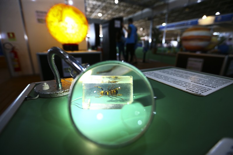 Começa em Brasília o maior evento científico da América Latina