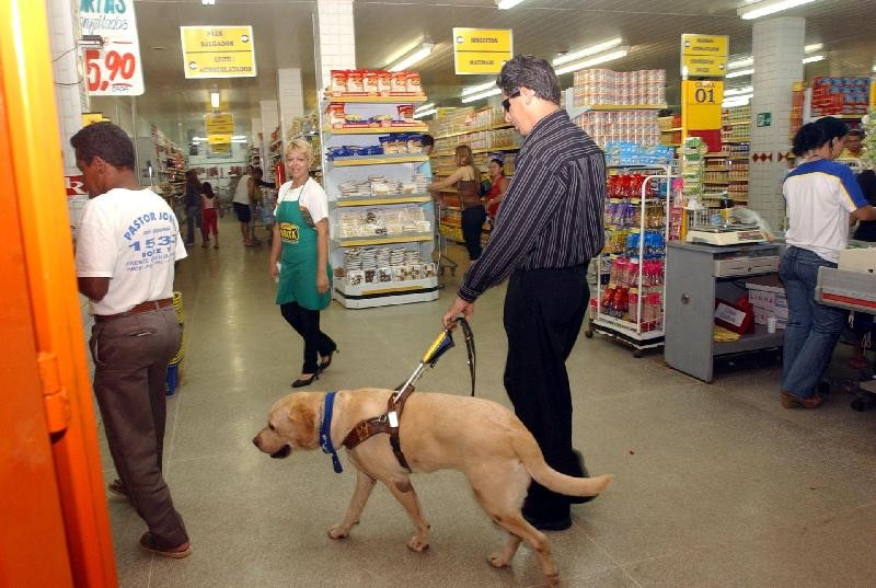 Rio permite consumidor entrar em supermercado com cães e gatos
