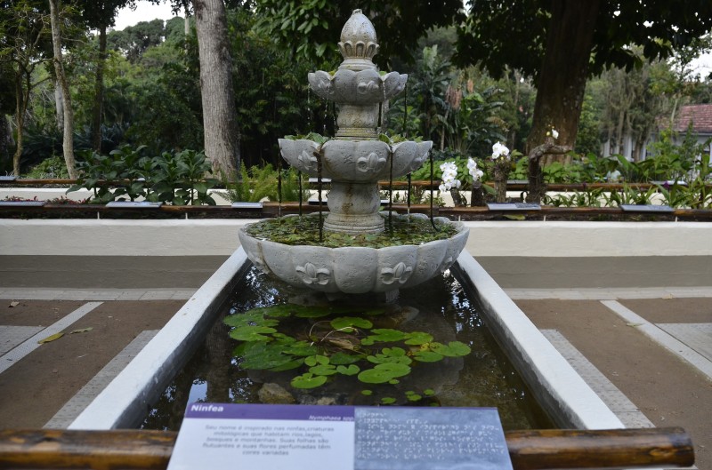 Jardim Botânico do Rio abre neste domingo Semana do Bioma Amazônia