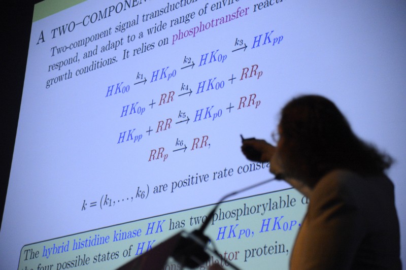 Ensino da matemática pode ser atraente, mostra curso para