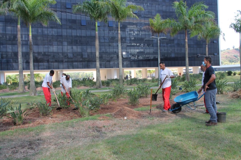 Presos do regime semiaberto cuidam de área verde da Cidade Administrativa 