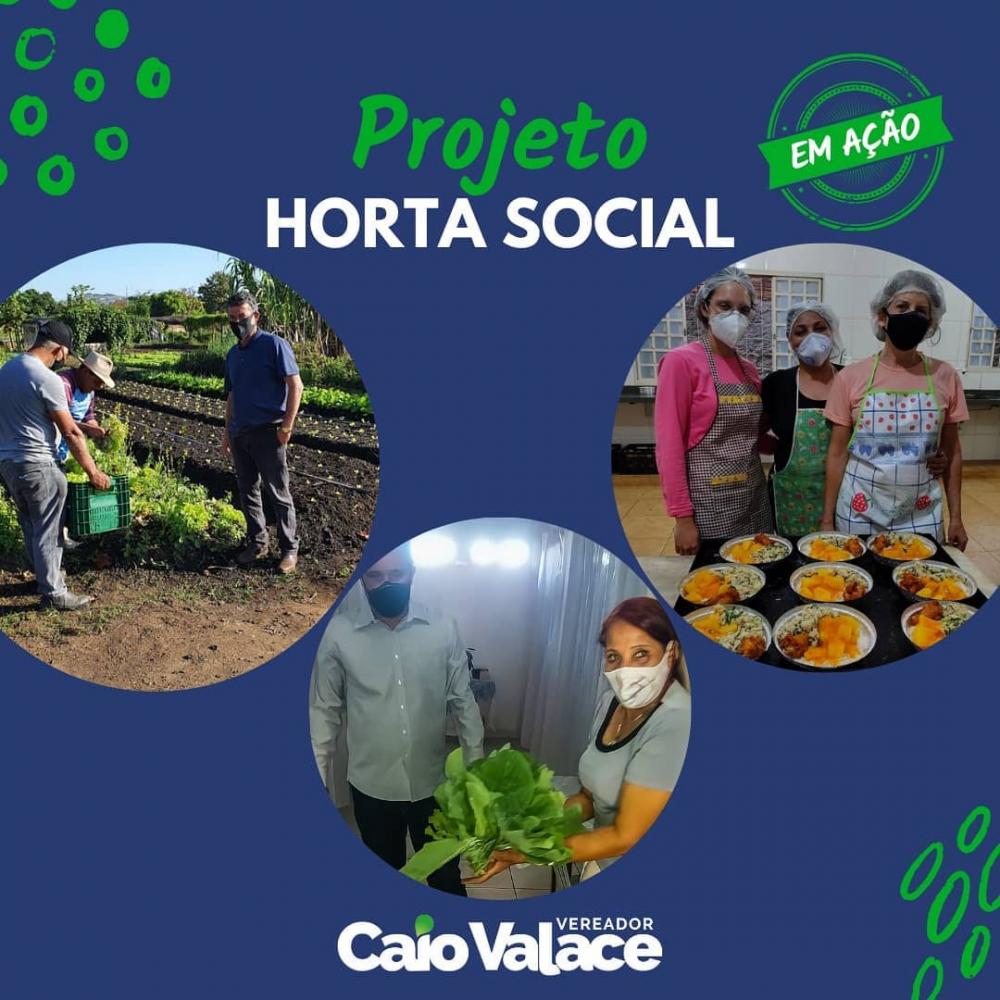 PROJETO HORTA SOCIAL