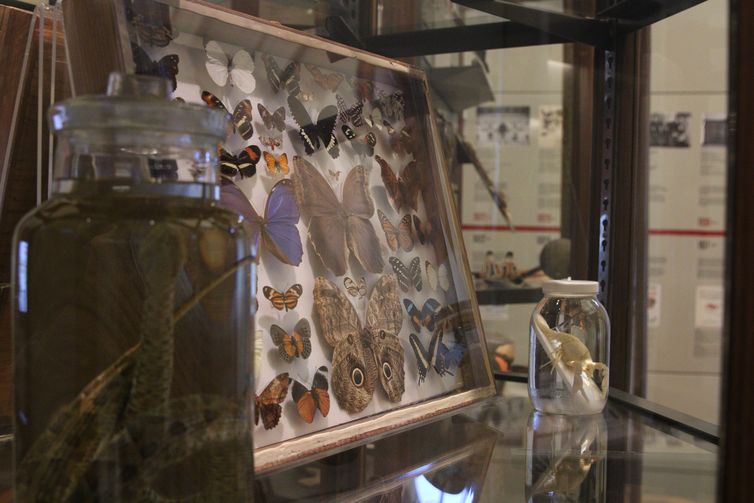 Acervo do Museu do Ipiranga -Rovena Rosa/Agência Brasil