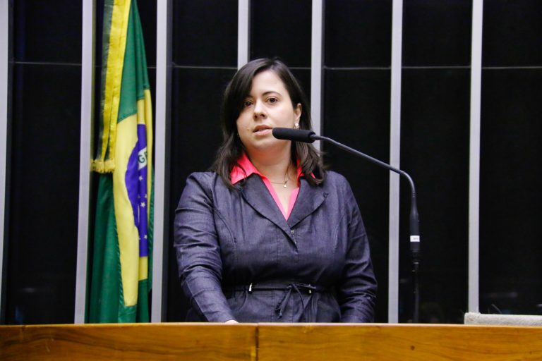 Sâmia Bonfim: resistência se faz muito necessária porque o País é o que mais mata a população LGBTQIA+