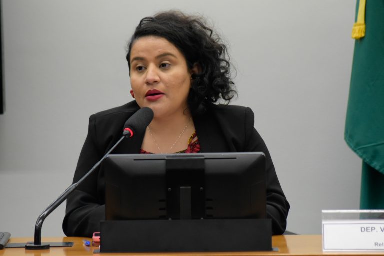 Vivi Reis apresentou relatório parcial: