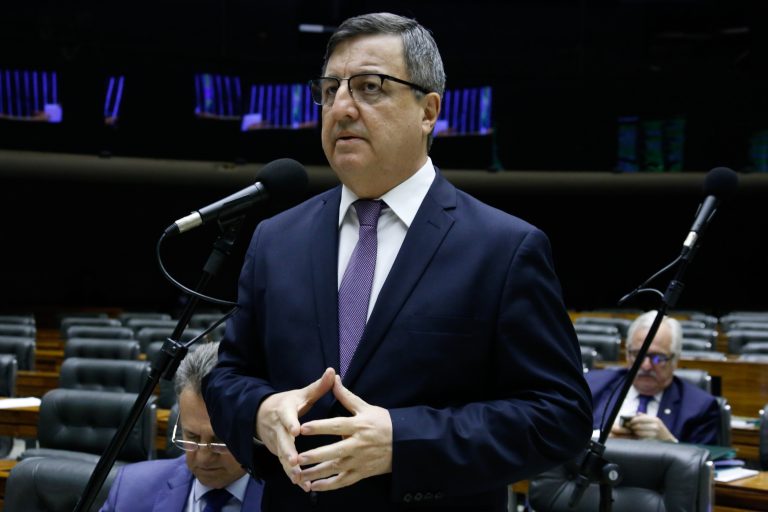 O relator, deputado Danilo Forte