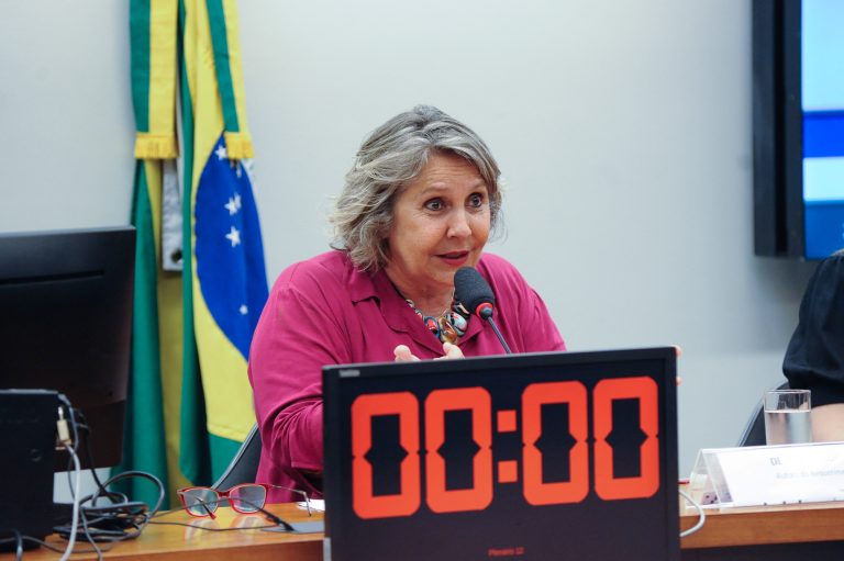 Deputada Erika Kokay: 
