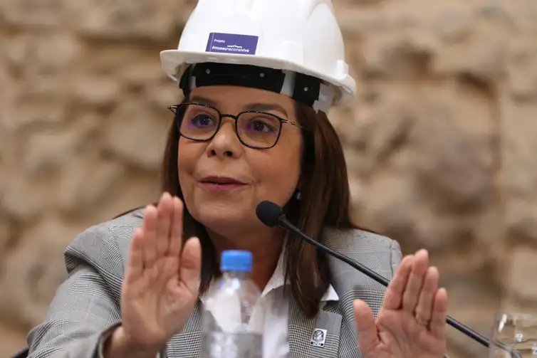 Diretora da UFRJ, Denise Pires de Carvalho, durante coletiva em que a Universidade Federal do Rio de Janeiro (UFRJ) apresenta um balanço das obras de reconstrução do Museu Nacional e a programação do bicentenário da independência. -Tânia Rêgo/Agência Brasil